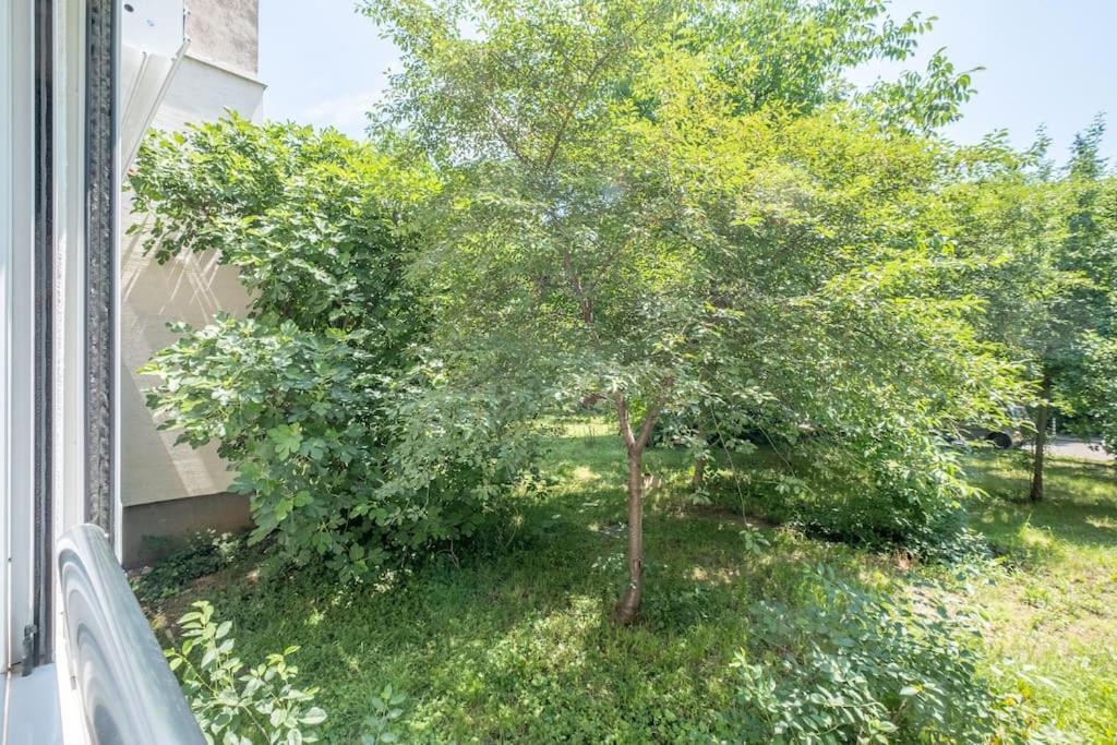 Top Location, Brand New 3 Bdrm Apt & Free Parking Sofie Exteriér fotografie