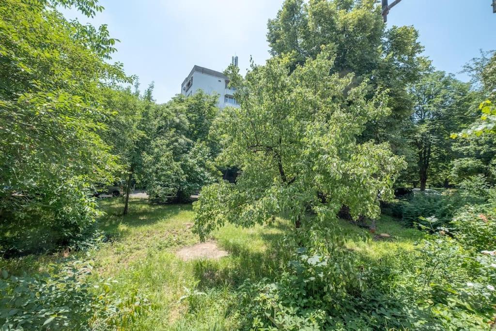 Top Location, Brand New 3 Bdrm Apt & Free Parking Sofie Exteriér fotografie