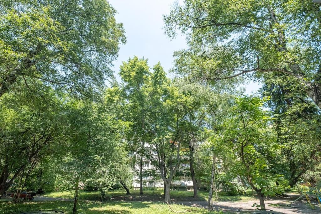 Top Location, Brand New 3 Bdrm Apt & Free Parking Sofie Exteriér fotografie